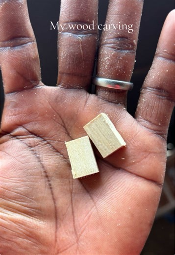 Unique Miniature Suitcase Wood Carving Art