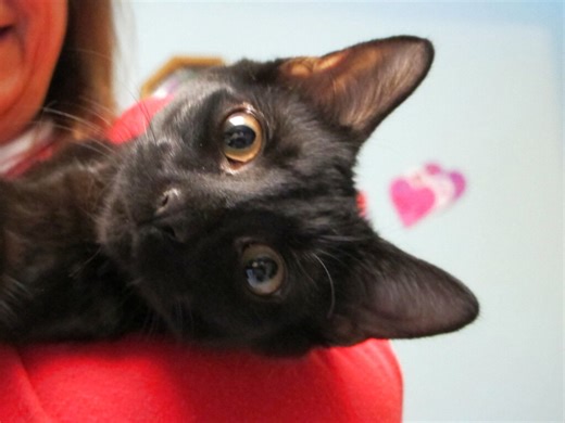 You won’t see much of Friday the 13th in 2025. That changes in 2026