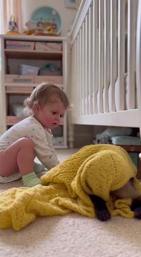 29K views · 1K reactions | Baby and monkey playing Follow BananaBaby #foryouシpage #baby #monkey #monkeylove | BananaBaby | Facebook