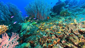 Behind the Scenes Tour