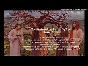 BARREN FIG TREE. HYMN 20