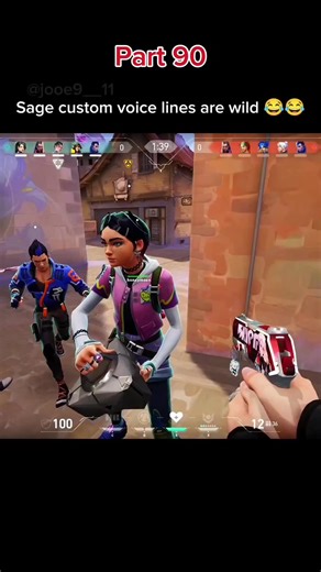 Valorant Sage Custom Voice Lines Hilarious
