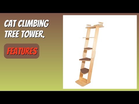 REVIEW (2025): Cat Climbing Tree Tower. Features