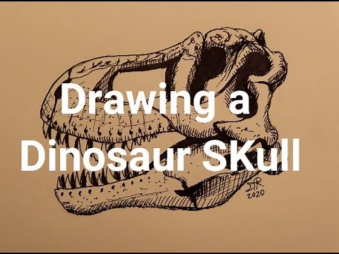 How to Draw a T-Rex Skull - Danny the Dinosaur Drawer