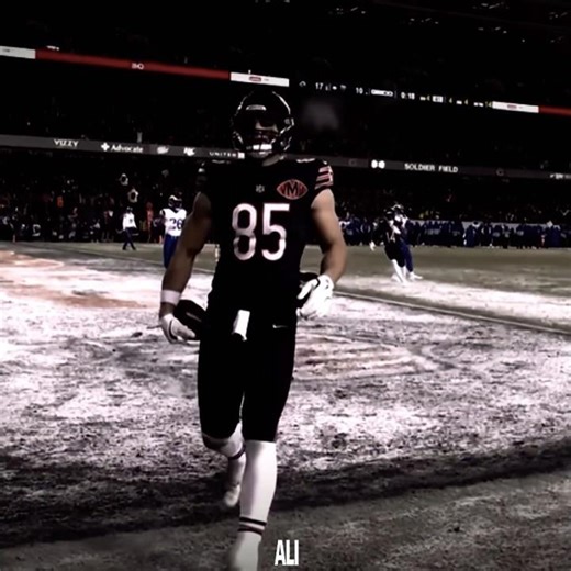COLE KMET WHAT A PLAY #nfl #bears #playoffs #homerun #insane #viral #fypシ #colekmet