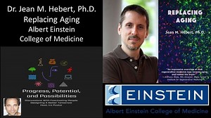 Dr. Jean M. Hebert, Ph.D. — Replacing Aging — Albert Einstein College of Medicine – Lifeboat News: The Blog