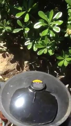 Swimming pool heater leaking water out of heat exchanger