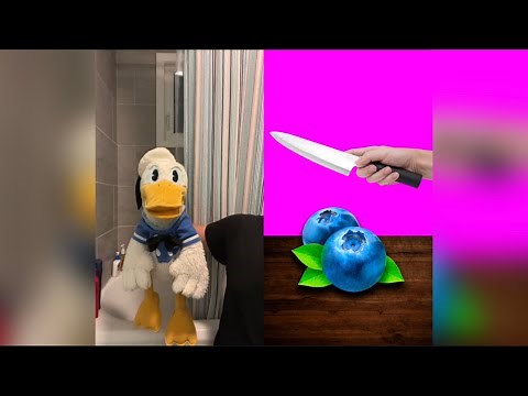 Donald Ducc FUNNIEST TikToks 3 (YOU CANT LAUGH)