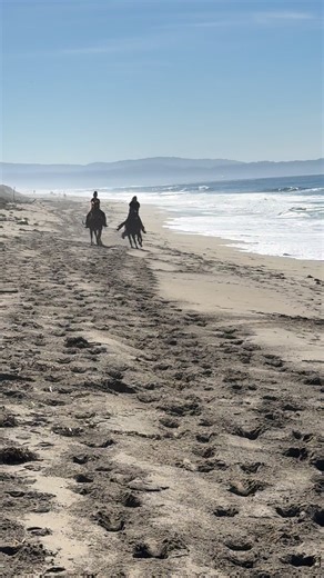 Barrel Horses racing on the beach 2025 | Jamie Hatcher
