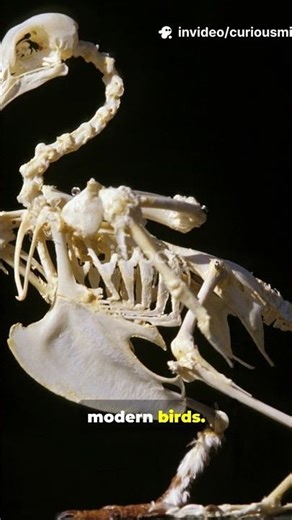 What Did Dinosaurs Actually Sound Like? 🦖