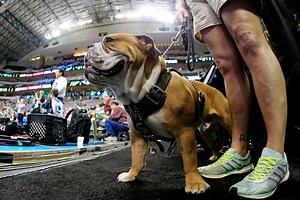 Why is the Michigan State mascot a bulldog? Meet the school's newest mascot 'Dak' who attended Alabama vs. MS State in Week 5