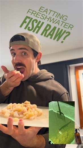 Devin Barrett Outdoors on Instagram: "Lets eat raw pike This recipe is called pickled pike and it makes it safe to eat. Freeze 5 days to -4 to kill any parasites. Thaw slowly to prevent any botulism. Thawing in fridge is good or cold water Brine fish 24 hours keep fish submerged in water Pickling solution and layered pike in clean jar After 7 days in fridge remove and enjoy! Bones de solve and you can enjoy it uncooked. Store easily up to 3 months in refrigerator Follow for more #icefishing #fis