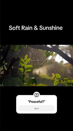 Soft Rain and Sunshine | Calm Nature Ambience