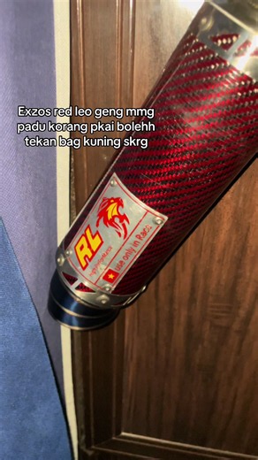 Red Leo Exhaust Y15ZR LC135 Cdi