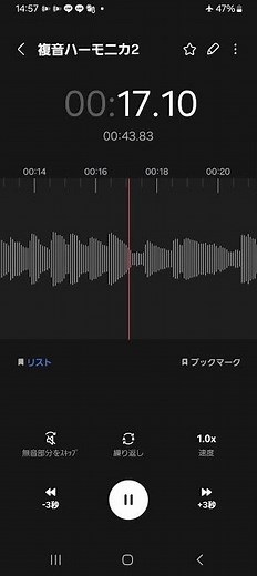 吹奏管楽器 011 複音ハーモニカ