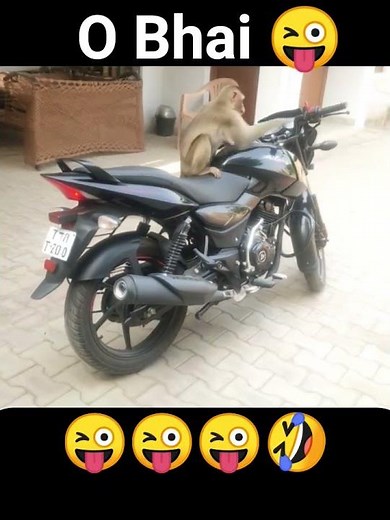 #MonkeyRiding #MonkeyDriver #FunnyAnimals #MotorcycleStunt #ViralVideo #ComedyShort