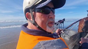 10K views · 339 reactions | IRT Beach Report ⛱️, sound is a bit average but that's a work in progress but I reckon you'll find a winner or two today. | Harness Racing Unhinged | Facebook