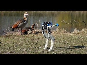 Alexander Badri-Sprowitz & Monica A Daley "BirdBot"