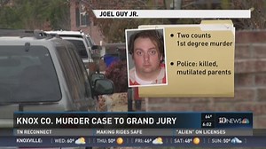 Case of man charged with killing, mutilating his parents sent to grand jury