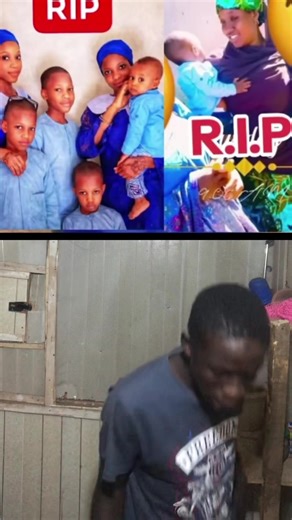 #donccrayol #ppprprprprprpprprrprpprprprprprprpr #