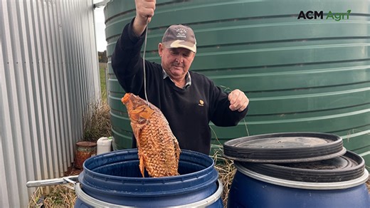 Farmer experiments with carp compost to grow healthier crops