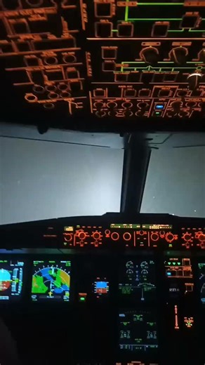 Boeing 777 Night Landing Cockpit View Experience
