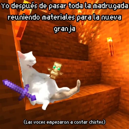 Hally on Instagram: "Hacer granjas enormes que en la vida voy a usar es mi pasión ❤️‍🔥 #Minecraft #minecraftsurvival #minecraftsmp #minecraftmemes #memes #humor #gatitos #lovestory"