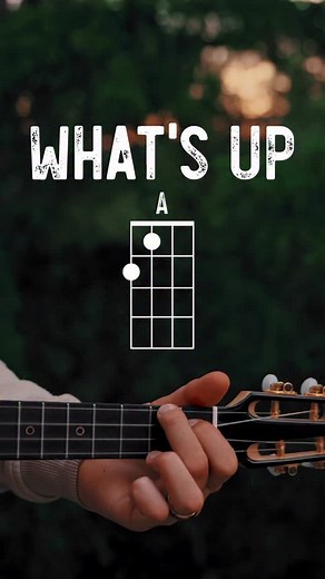 1.5K views · 93 reactions | What’s Up - @4nonblondes Ukulele Lesson using my @flightukulele • • • #ukulele #ukulelelesson #ukulelelessons #ukuleletutorial #ukulelechords #whatsup #4nonblondes | The Groovy Guitar Dude | Facebook