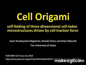 cell origami on Make a GIF