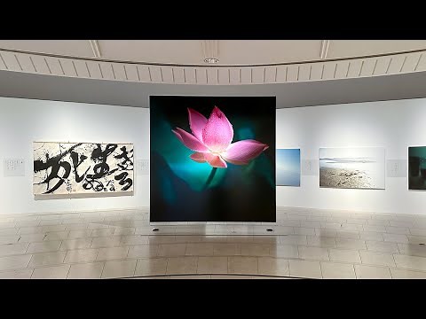 世田谷美術館「祈り・藤原新也」