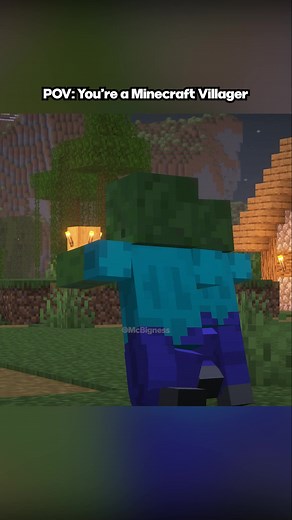 Minecraft Villager POV - Creative Mode