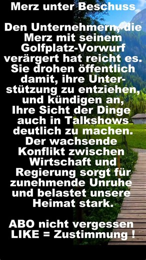 Merz unter Beschuss #politik #afd , #shorts , #shortsfeed, #shortvideo, #foryou, #fyp, #deutsch