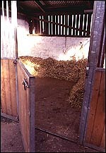 Ask H&H: Converting outbuildings into stables - Horse & Hound