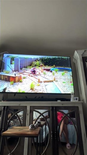 Yup! Thats exactly What I Need to Fix All My Dog Problems!