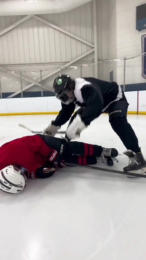 Best Custom Hockey Sticks & Personalized Stick Stickers