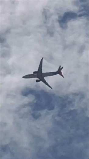 Great sound from the CFM Leap-1B 🔊🍃 engines #aviation #b737max #cfm