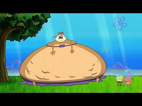 Sandy Cheeks Weight Gain & Vore