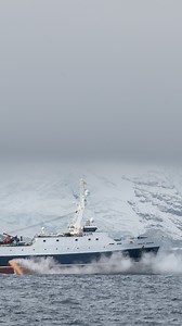 30K views · 268 reactions | This is what the krill fishing industry...