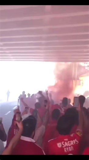 Exploring Benfica's Legacy in Portuguese Football