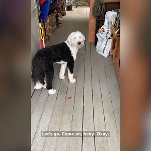 47K views · 1.5K reactions | Beach Finds With Bunny!  | Whataboutbunny | Facebook