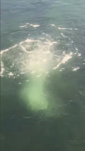 Joe Mescan Windmill LLC - The World's # 1 Windmill for Fish Pond Aeration Combat Algae Aerator.