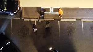 26K views · 176 reactions | Mind blown the same drunken character previously mentioned on this page was involved in a fight at the Sundaes Ice Cream in STR moments ago. | EXIT 82 Scanner News | Facebook