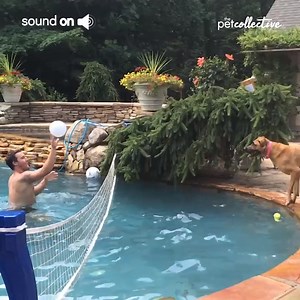 11M views · 31K reactions | Who are you rooting for? | Try Not to Laugh | Facebook