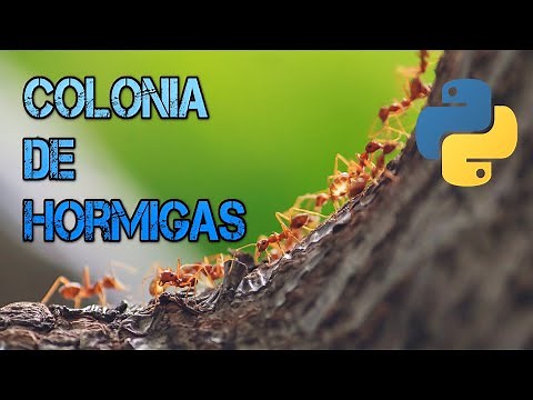 Ant Colony Algorithm with Python