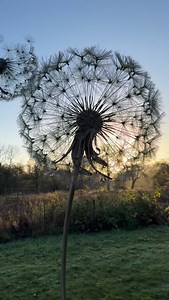 Our Black Friday sale starts today: 15% off all FantasyWire shop items until Sunday. https://fantasywire.co.uk/shop/ https://fantasywireshop.etsy.com Also I’m still @haddonhall until Sunday. Thank you to everyone’s who’s come along to see me 🙂 🧚 🌙 -Adam | Wire Sculpture by Fantasywire
