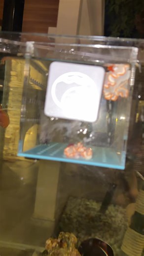 วิดีโอของ Proon (@kanidphobphornpra) พร้อมเพลง original sound - U can find songs here😊