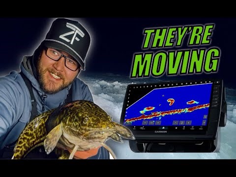 How to Fish for Pre-Spawn Burbot | BURBOT FISHING