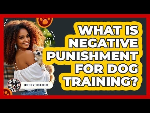 What Is Negative Punishment For Dog Training? - Obedient Dog Guide