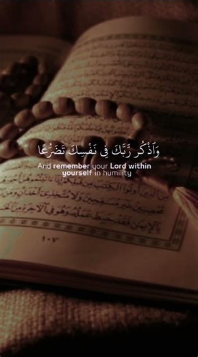 ١١ نوفمبر ٢٠٢٥