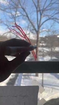 Everything You Know About Perspective is Wrong✏️